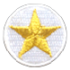 gold star soccer ball patch